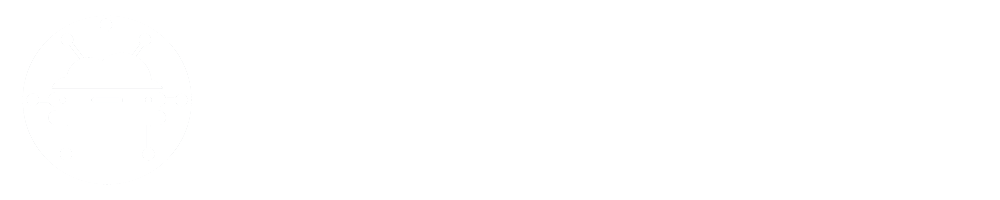 Stornamics